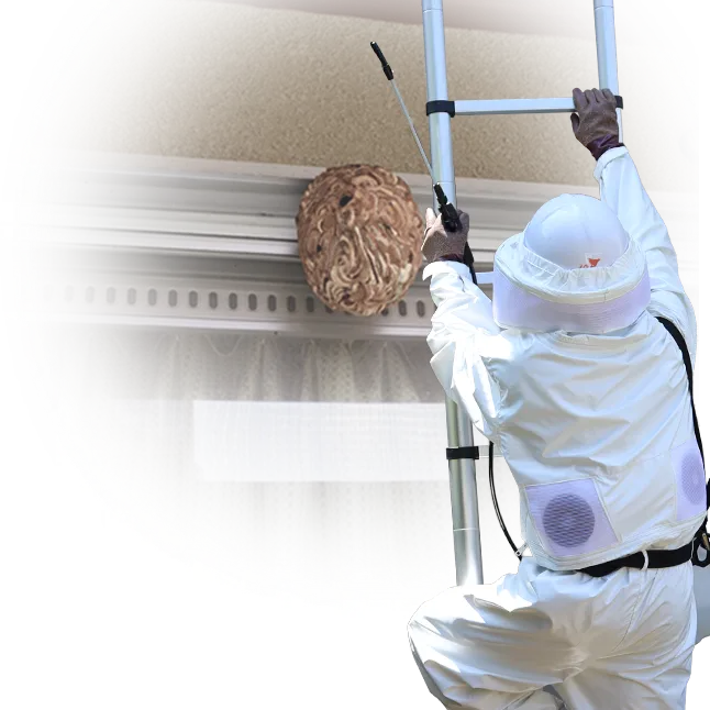 はしごの作業員