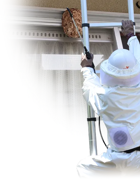 はしごの作業員